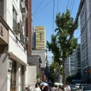 본전 게임 | 3박 4일 부산여행 : 바오하우스, 본전돼지국밥