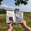 SJ홈푸드 | CGC 원두 가성비 꽤괜 라오스 커피 추천