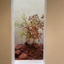 대산2차 아파트 앞 횡단보도2 | 자매의 상하이 여행 [3일차] 라이라이샤오롱, 우캉맨션, 우캉루, 프랑스조계지, 상하이 슈프림, 그랜드마더