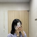 호미미장원
