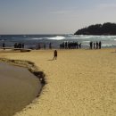 미인열차 이미지