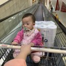 빠담목장 | 코스트코 4월 5월할인상품 &amp; 추천상품 :D