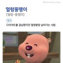 잉꼬하우스 | 은지월지 / 2026년 3월