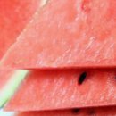 이석농장 이미지