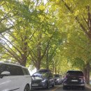 곡교천길 이미지