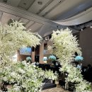 호텔 그랜드 스위트 이미지