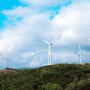 애플태양광발전소3 이미지