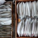 오늘의 생선 이미지