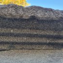 함안박물관(야외) 이미지