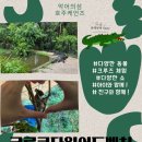 954 | [호주여행] 거대한 악어와 다양한 동물들까지 즐길 수 있는 케언즈 크로코다일 어드벤처