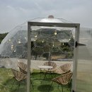 칸델라식당 이미지