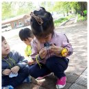 회남초교 병설유치원 이미지