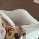 데일리동물병원 | 강아지 사료 ♪ 동물병원에서 믿고 사는 힐스 연어&amp;현미 급여 후기