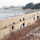바다해(바다海) 이미지