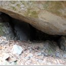 명품 벚꽃 길 이미지