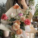 주정차단속-113 이미지