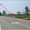 여주-0439 Daum카페