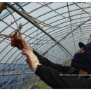 최고집농장 이미지