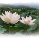 푸른마음정신건강의학과의원 이미지