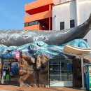 소라고래집 이미지