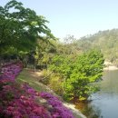 명덕호수공원 이미지