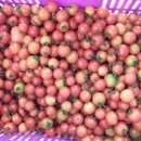 여름농장 이미지