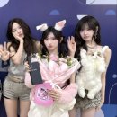 💎브랜드평판지수 추천💎 이미지