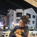 백운닭집 네이버블로그