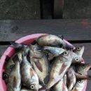 사량뜨라래민박 이미지