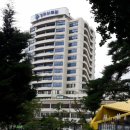 경희정문약국 이미지