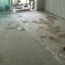 구산2주공아파트 이미지