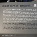 상주 증촌리 석조여래좌상 이미지