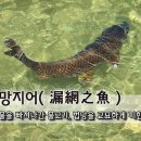 그물과물고기 이미지