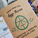 농장의아침 - 서구 회재로 827 | 등고개농장 유정란 후기｜자연방사 난각번호 1번 무항생제 계란