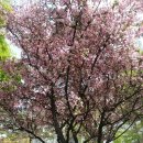 건대주변 이미지