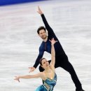 스텔라토 이미지