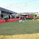 카페미밍코 이미지