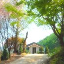 기호농장 이미지