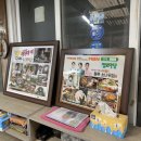 소나무집 이미지