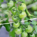 무주농장 이미지