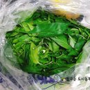 명숙농장 이미지