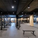 스테이 피트니스 이미지