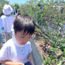 에버그린 유치원 이미지