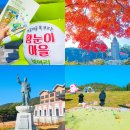 일강김철선생기념관 관광안내소 | 전남 함평 가볼만한곳 보여리마을 체험 김철역사관 당일치기