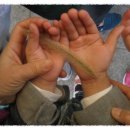 은하어린이공원 이미지