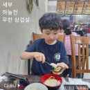매트로몰 맞은편 횡단보도 | 아이랑 세부여행, 솔레아 리조트 근처 맛집 ' 하늘천 ' 가성비 끝판왕 한식당 , K마트 코스