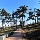 솔향기공원 이미지