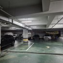 엑스포아구 이미지