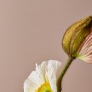 (주) 우리운송 이미지