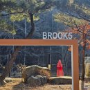 브룩5(BROOK5) | 가평 2개월 아기랑 여행 숙소 추천 &#39;BROOK5(브룩5)&#39; 203호 내돈내산 후기